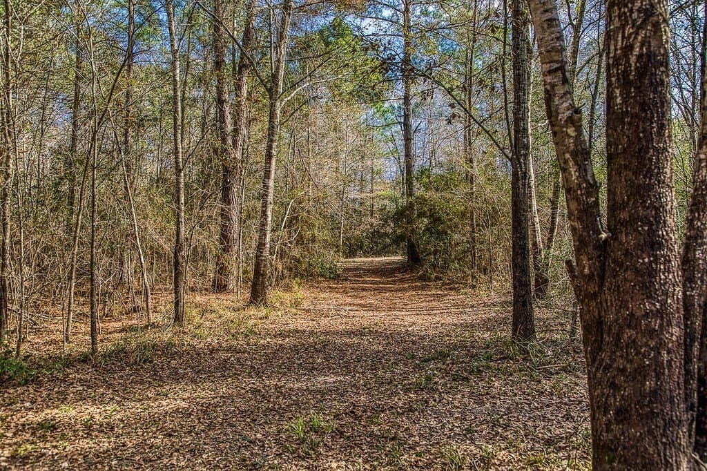 30.72 acres in Grimes County - photo 23