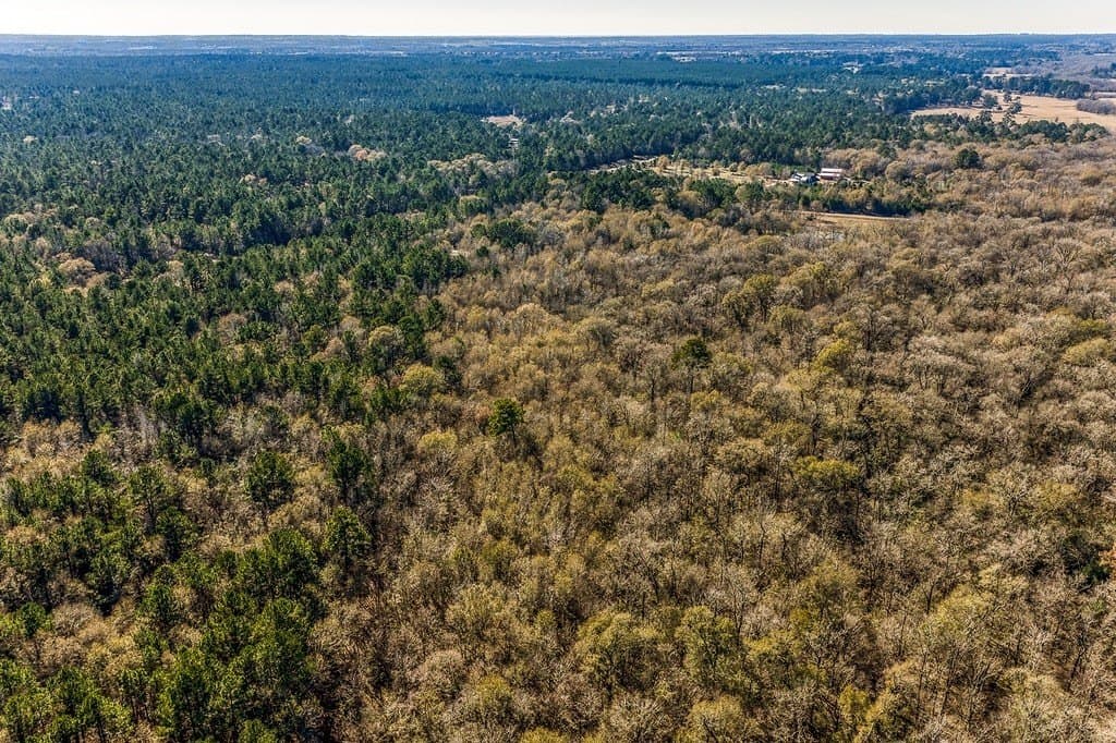 30.72 acres in Grimes County - photo 9