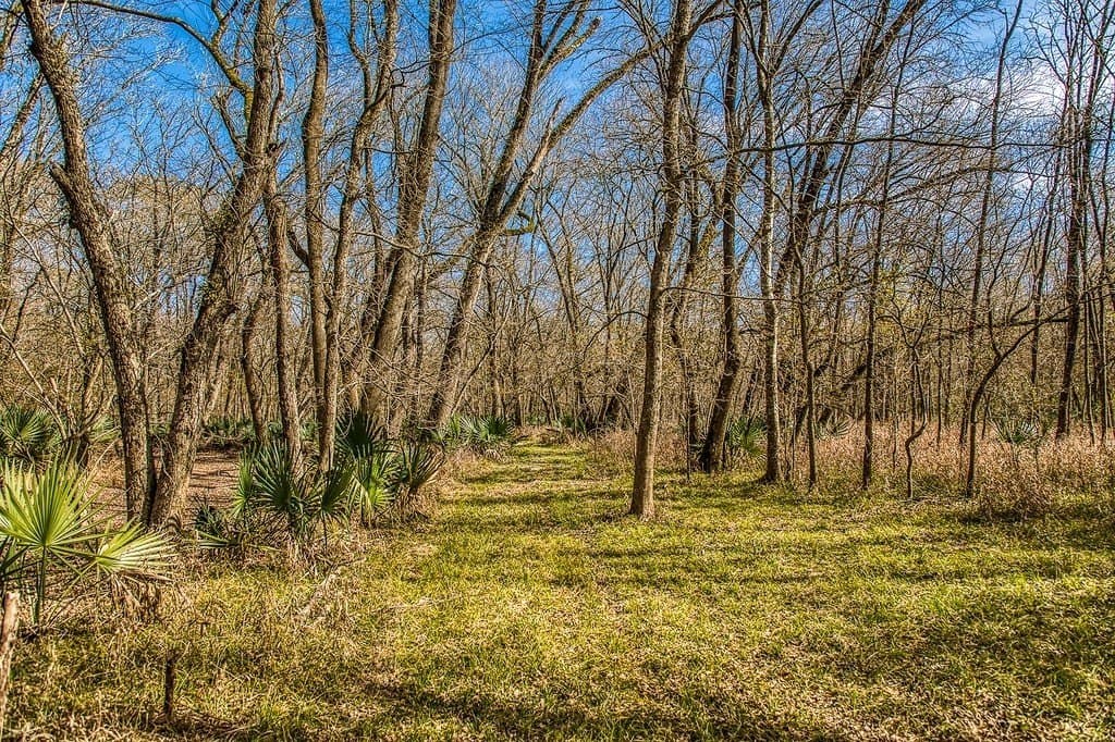 30.72 acres in Grimes County - photo 20