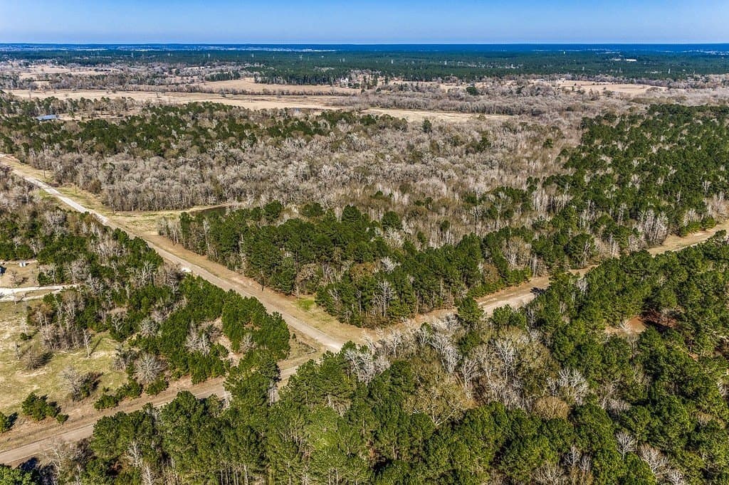 30.72 acres in Grimes County - photo 3