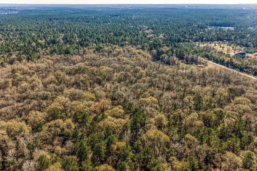 30.72 acres in Grimes County - photo 8