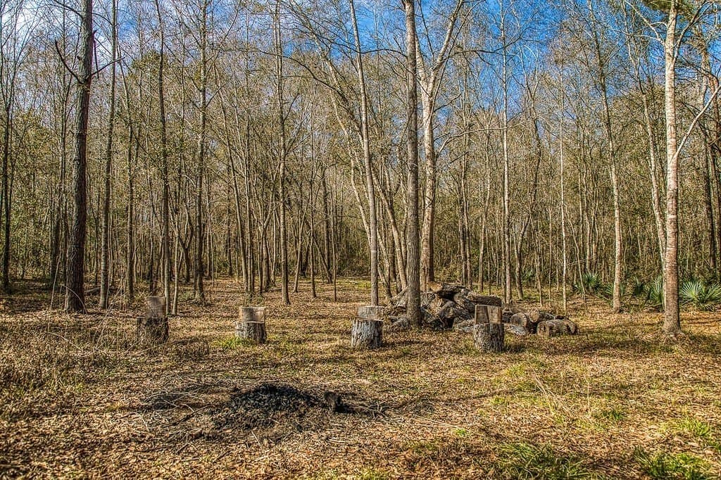30.72 acres in Grimes County - photo 24