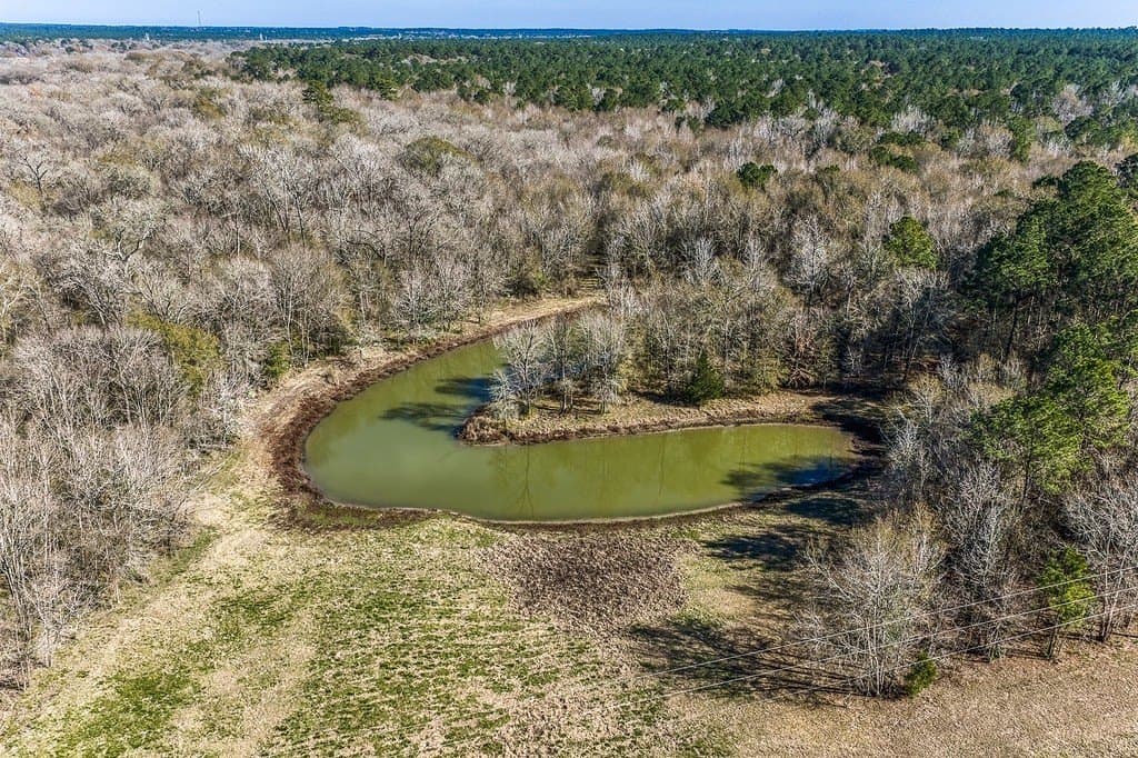 30.72 acres in Grimes County - photo 5