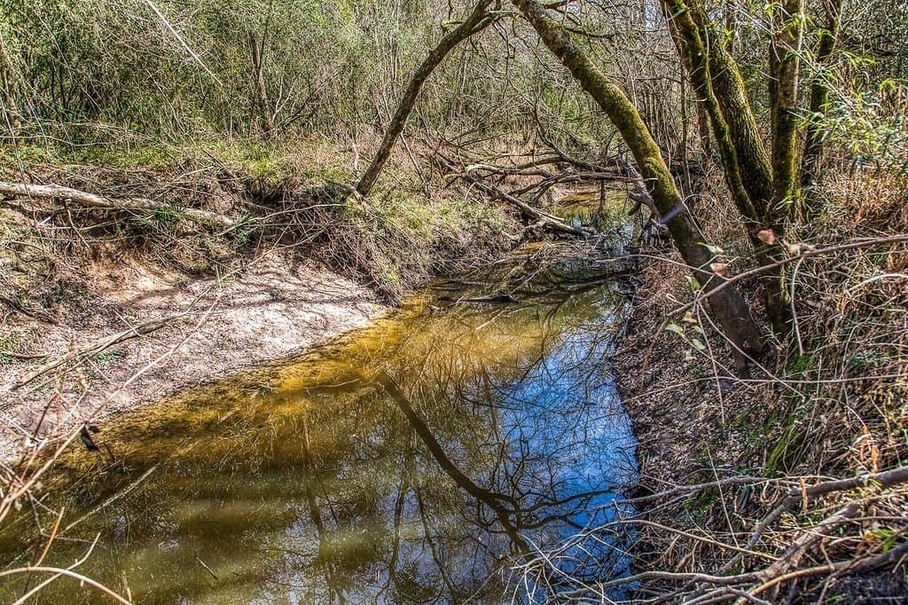 30.72 acres in Grimes County - photo 19