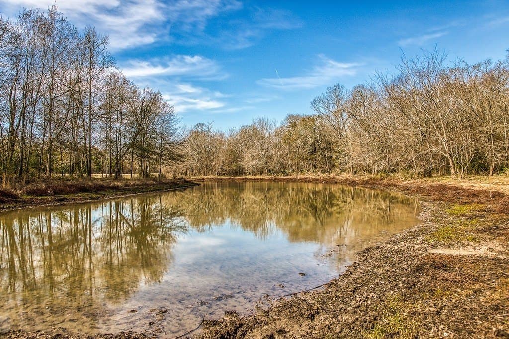 30.72 acres in Grimes County - photo 21