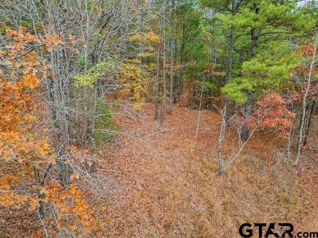 172.21 acres in Morris County - photo 13