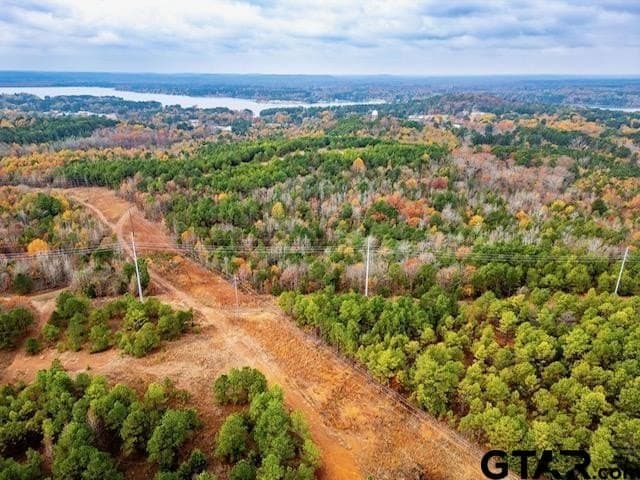 172.21 acres in Morris County - photo 7