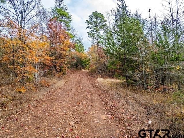 172.21 acres in Morris County - photo 9