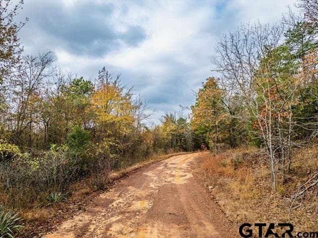 172.21 acres in Morris County - photo 11