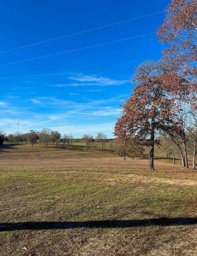 19.91 acres in Cass County - photo 46