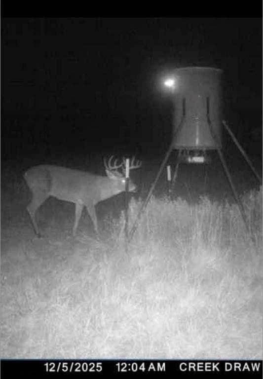 25.81 acres in Taylor County - photo 9
