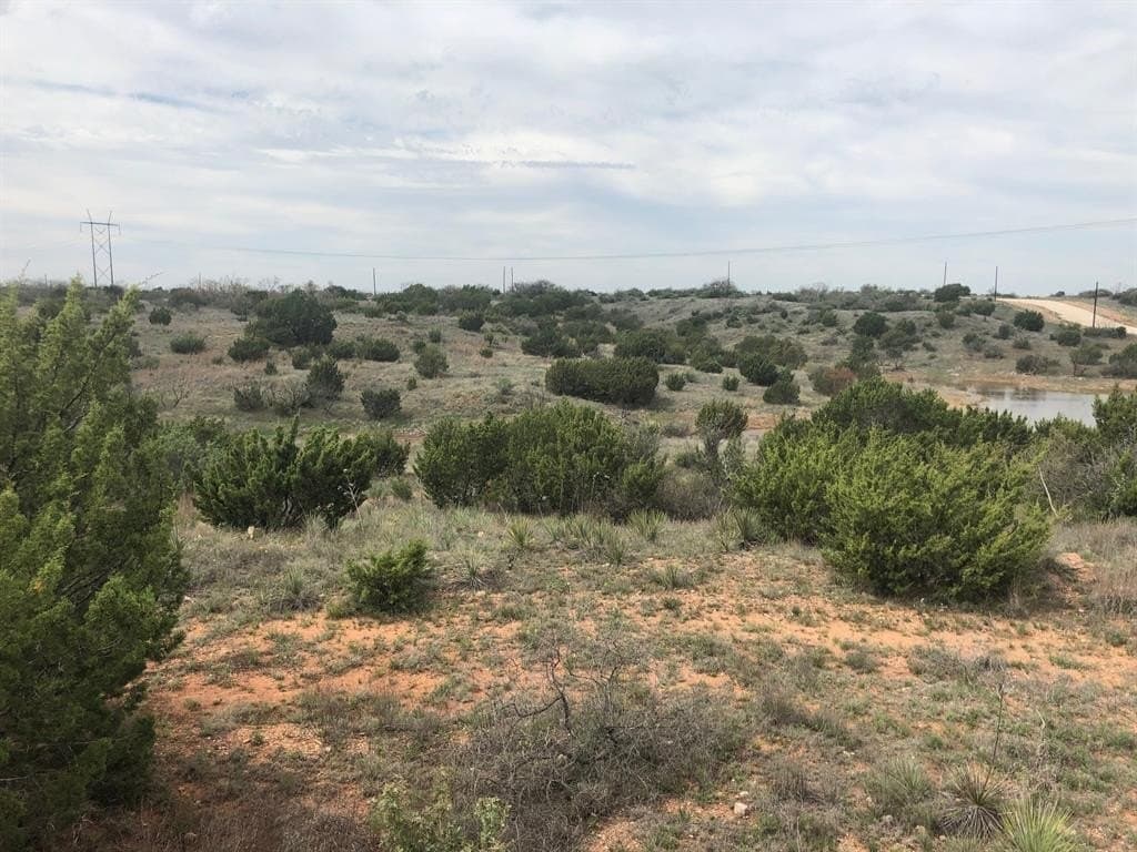 25.81 acres in Taylor County - photo 15