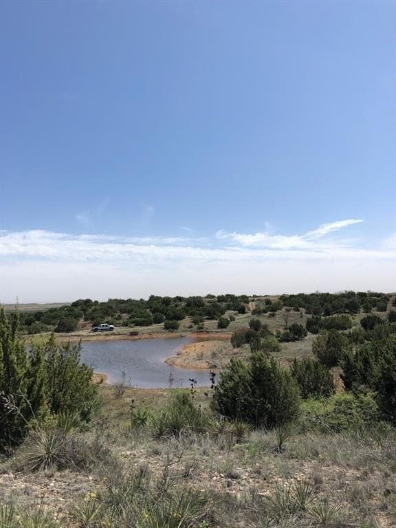 25.81 acres in Taylor County - photo 16