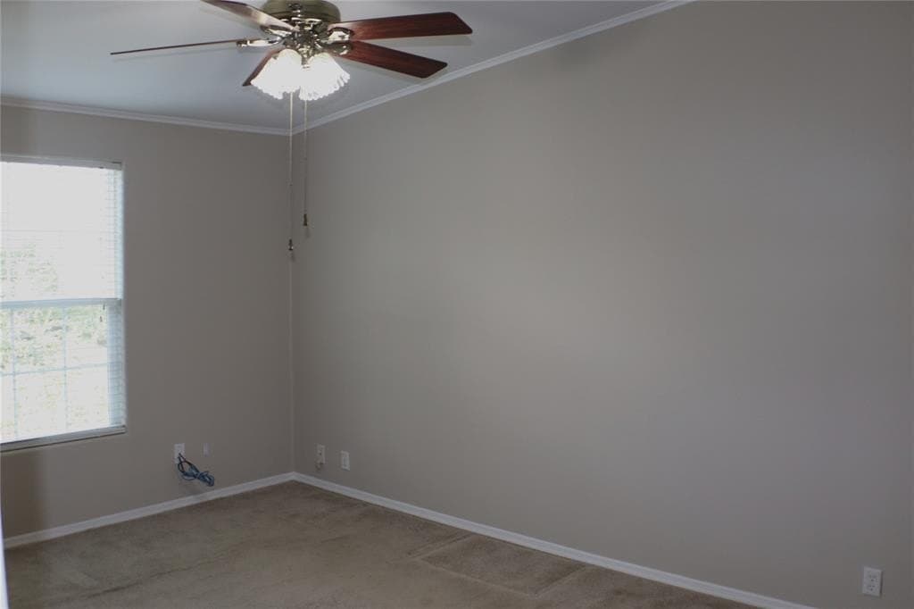 15 acres in Hunt County - photo 11