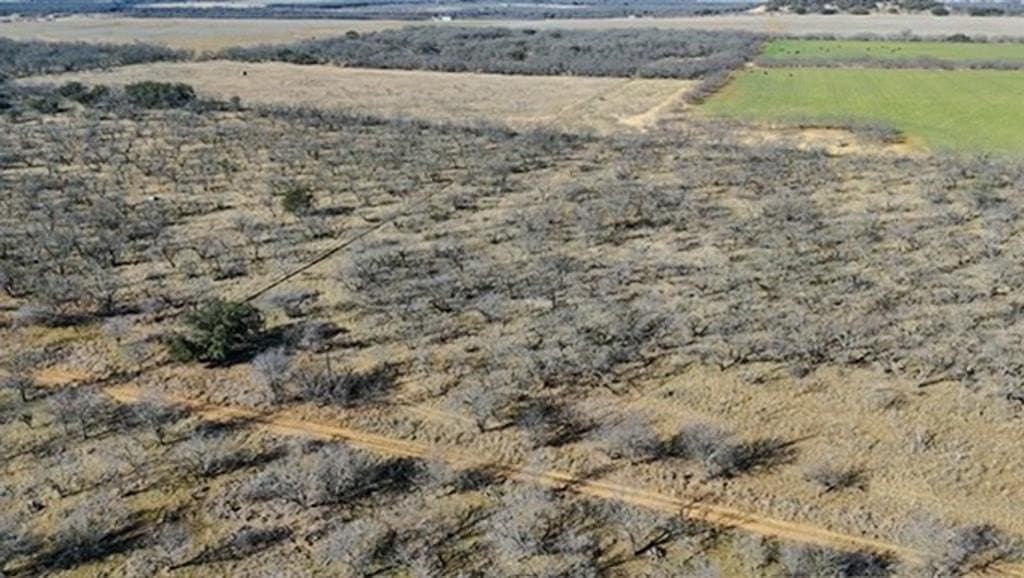 16 acres in Comanche County - photo 6