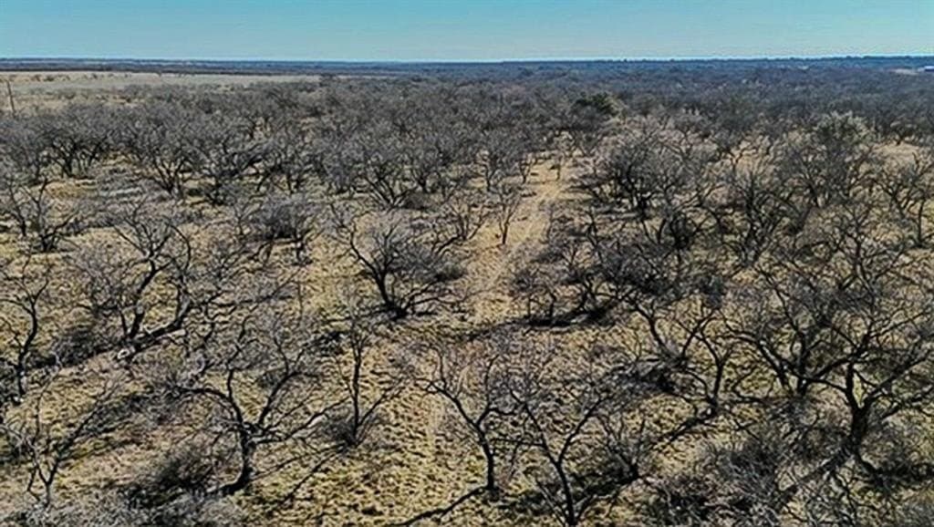 16 acres in Comanche County - photo 7