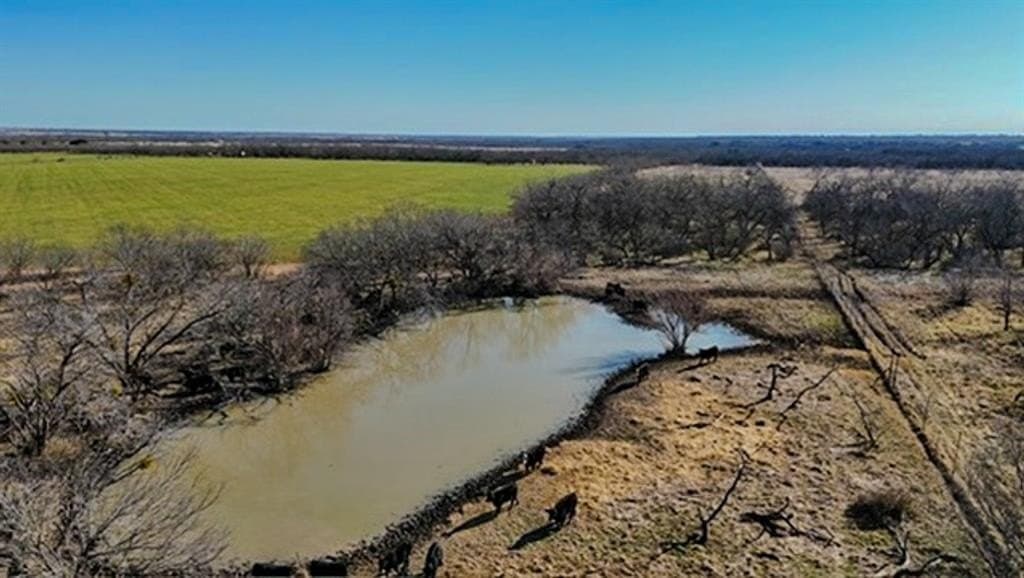16 acres in Comanche County - photo 5