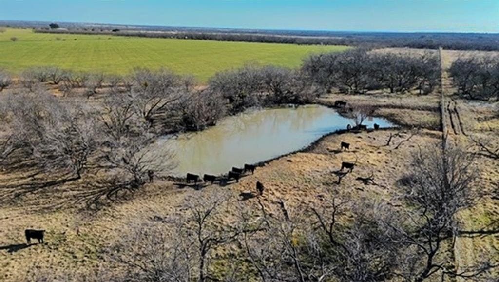 16 acres in Comanche County - photo 3