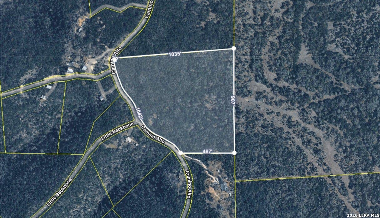 16.81 acres in Comal County - photo 2