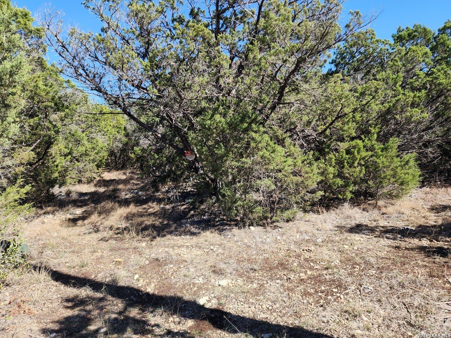 16.81 acres in Comal County - photo 5
