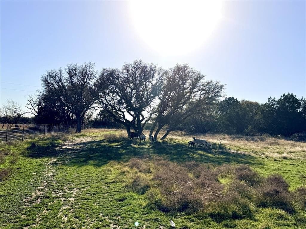 33.25 acres in Mills County - photo 2