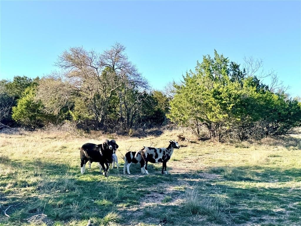 33.25 acres in Mills County - photo 3