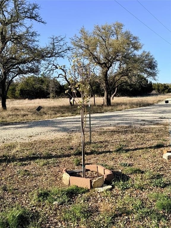 33.25 acres in Mills County - photo 17