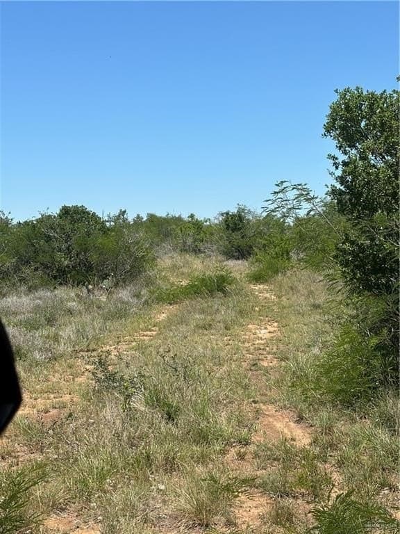 20.33 acres in Jim Wells County - photo 9