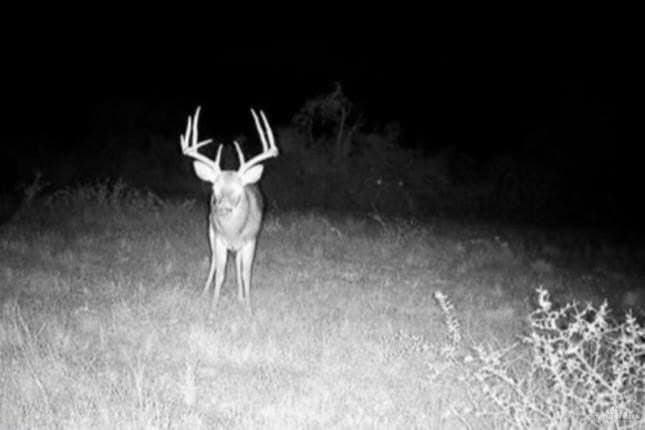 20.33 acres in Jim Wells County - photo 10