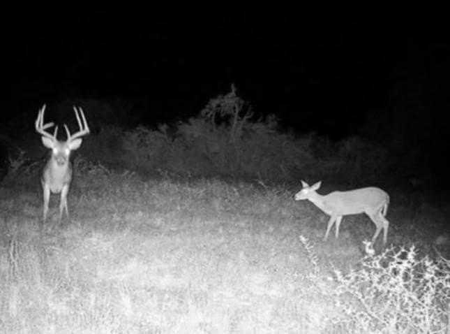 20.33 acres in Jim Wells County - photo 2