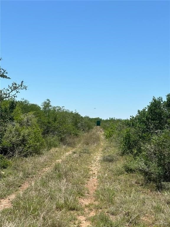 20.33 acres in Jim Wells County - photo 7