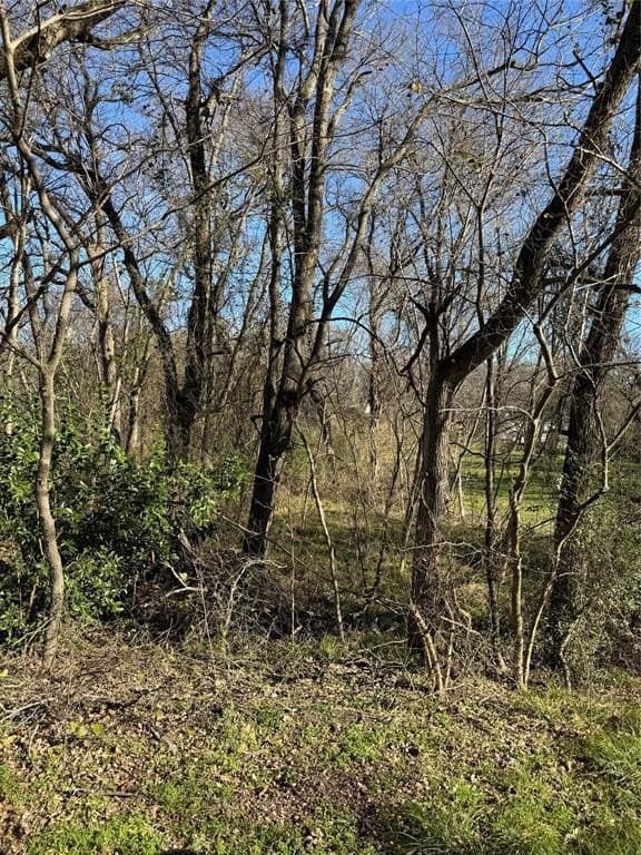 0.35 acres in Henderson County - photo 2