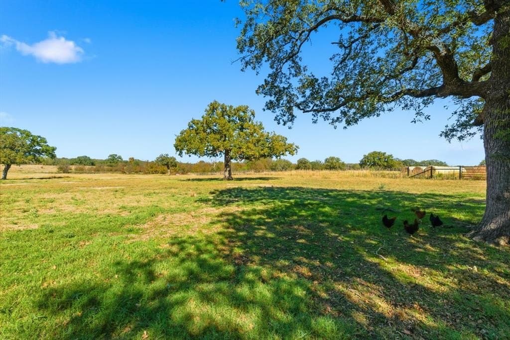 307.6 acres in Hood County - photo 18