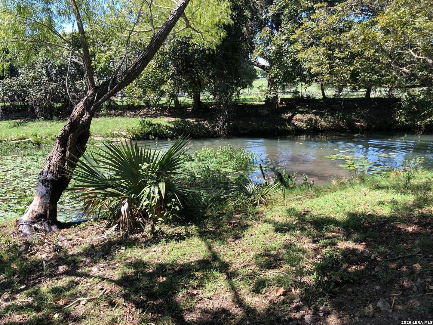 1.42 acres in Comal County - photo 4