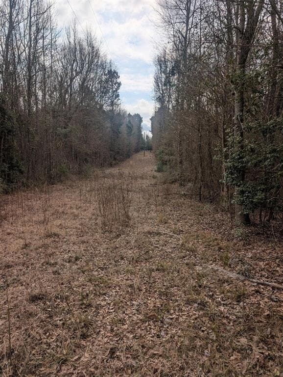2.65 acres in Wood County - photo 3