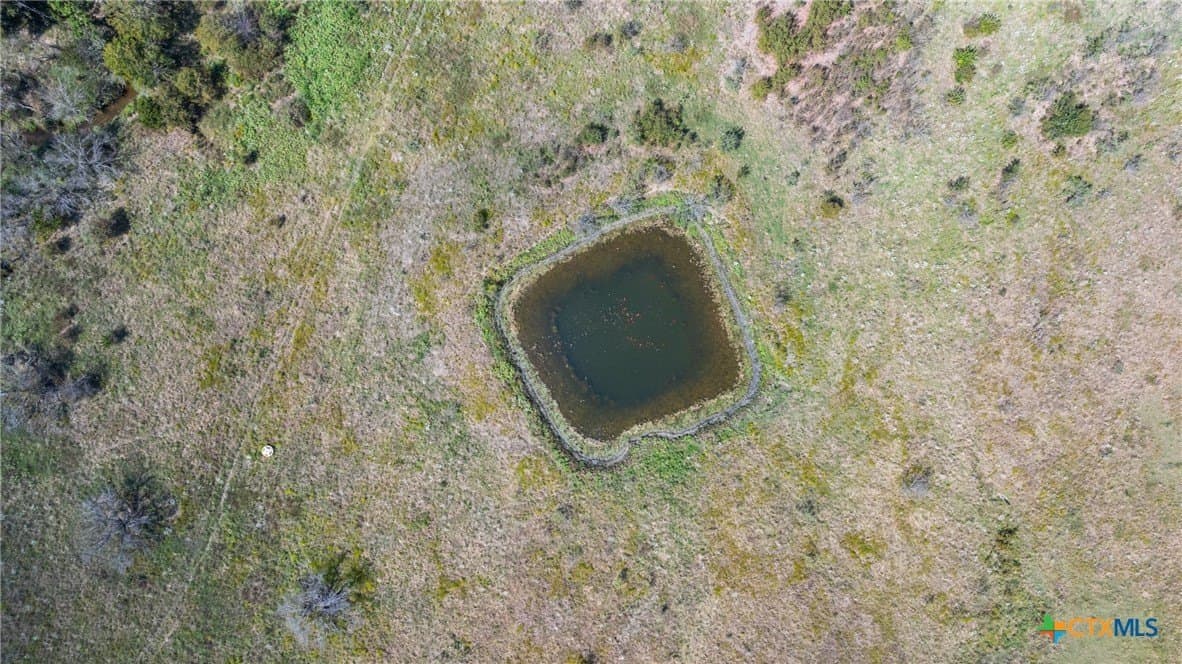 143.17 acres in Limestone County - photo 14