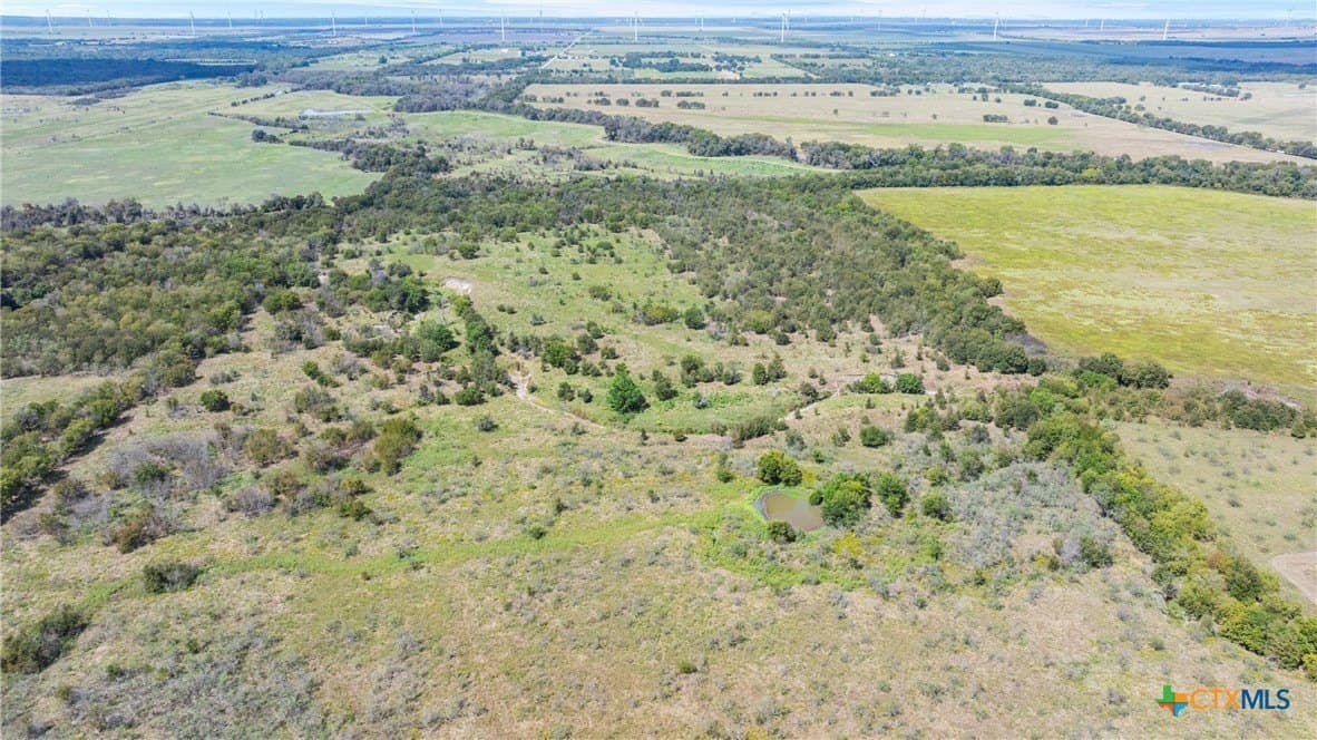143.17 acres in Limestone County - photo 16