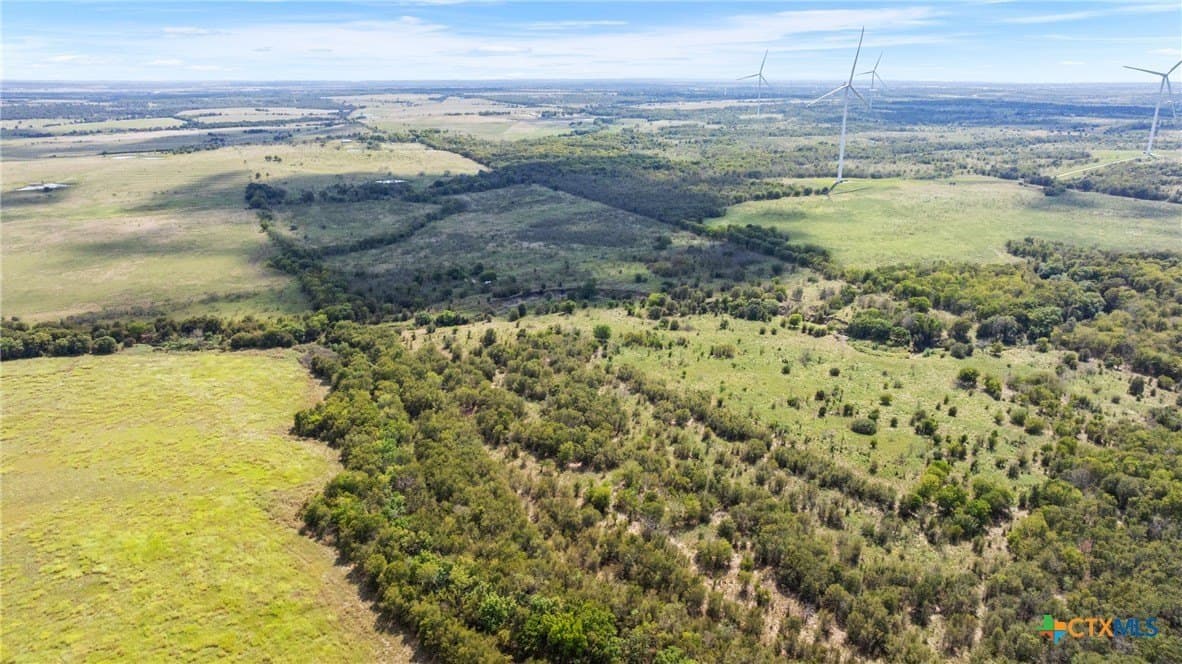143.17 acres in Limestone County - photo 4