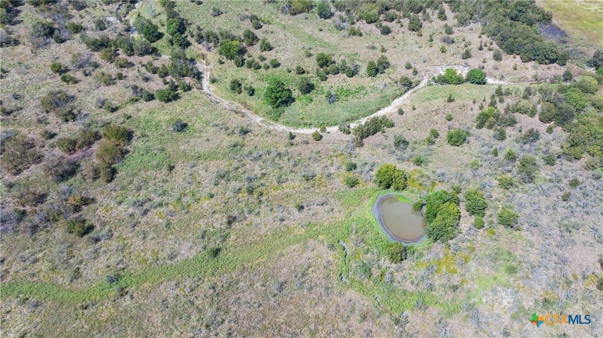 143.17 acres in Limestone County - photo 17