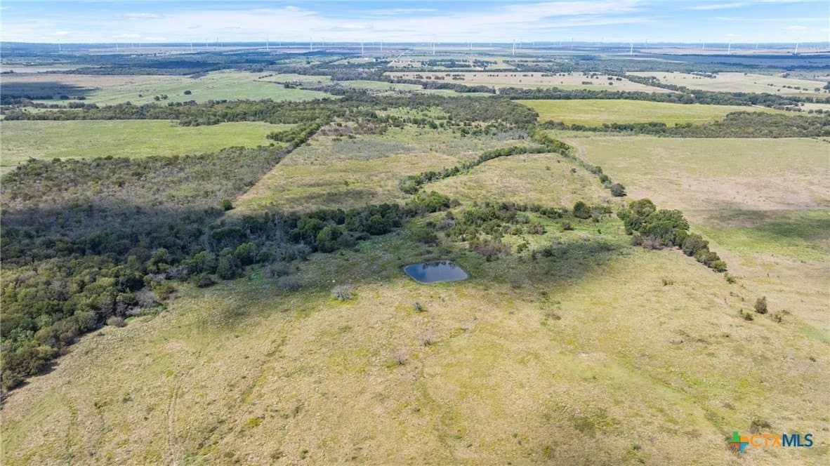 143.17 acres in Limestone County - photo 13