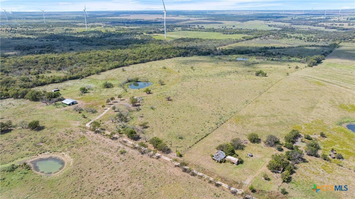 143.17 acres in Limestone County - photo 10