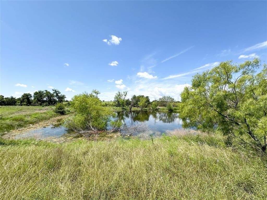 73.25 acres in Coryell County - photo 8