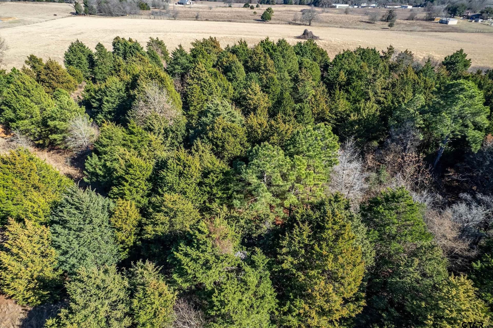 37.32 acres in Van Zandt County - photo 16