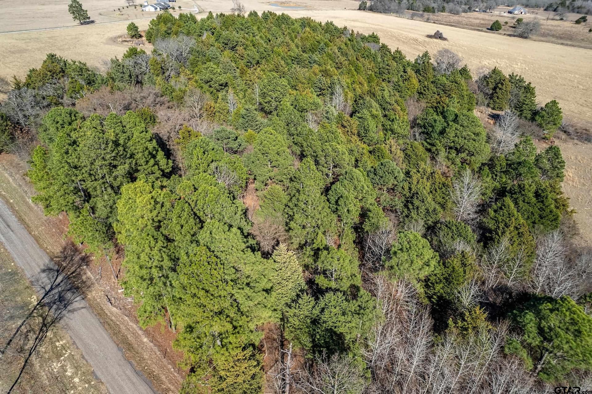 37.32 acres in Van Zandt County - photo 17