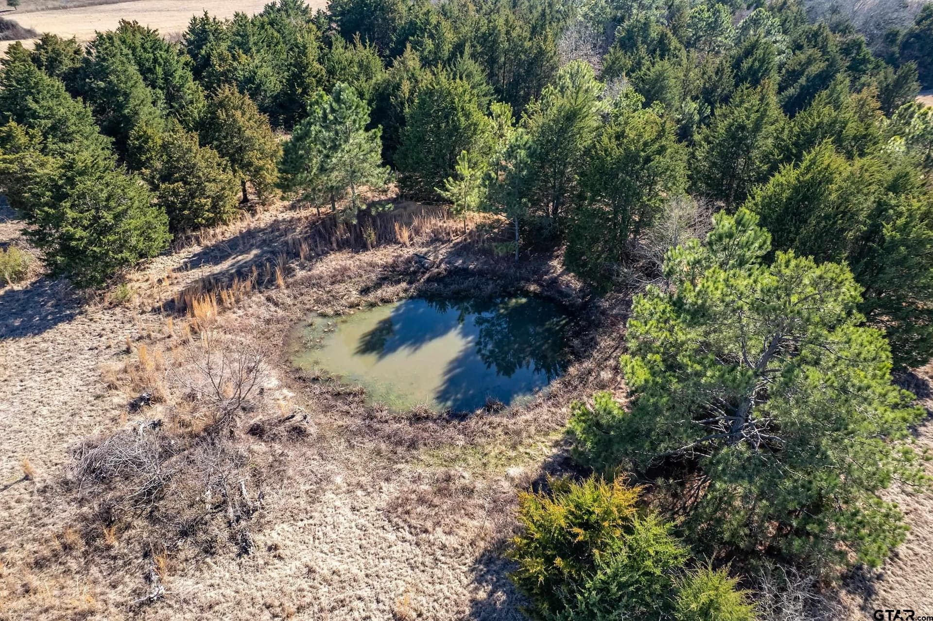 37.32 acres in Van Zandt County - photo 14