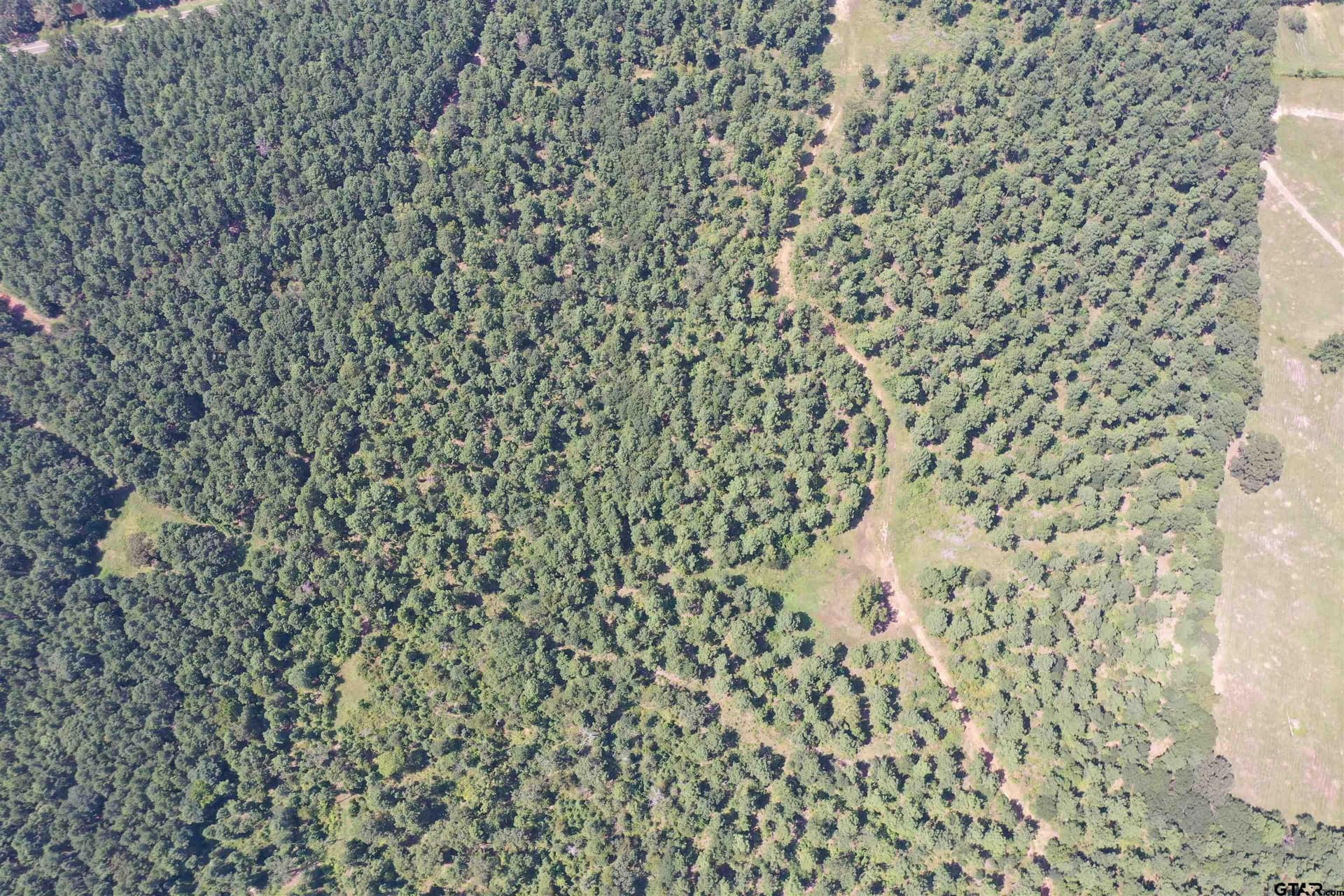 126.42 acres in Cherokee County - photo 7