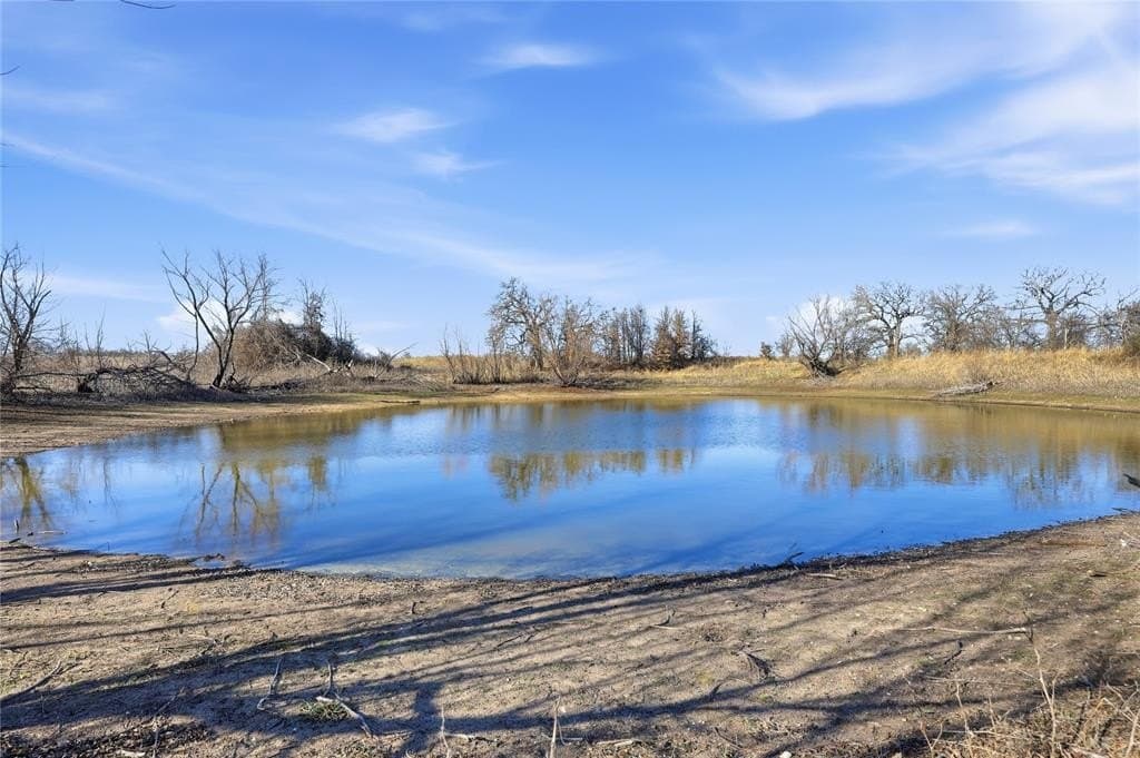 283.53 acres in Montague County - photo 6