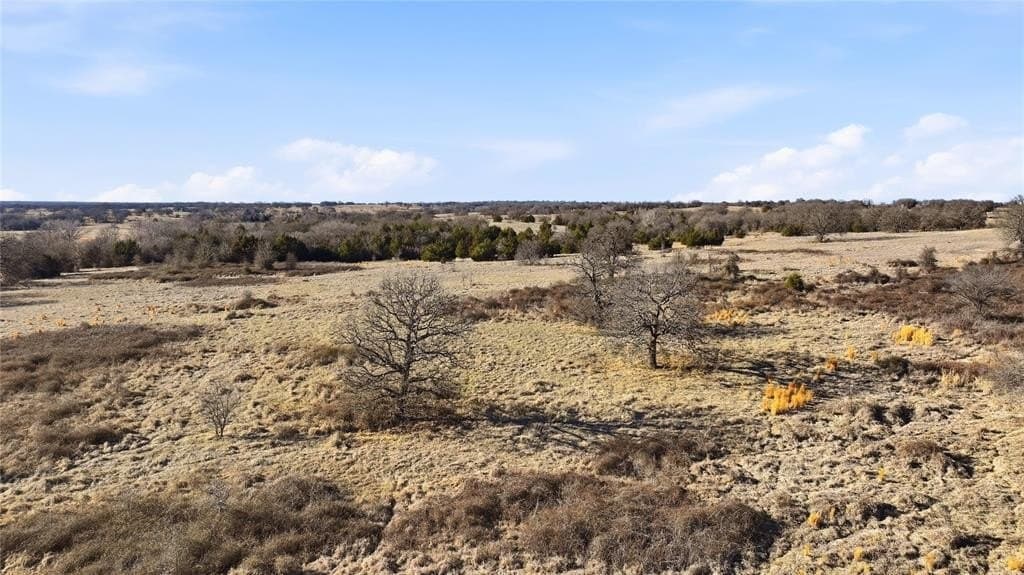 283.53 acres in Montague County - photo 3