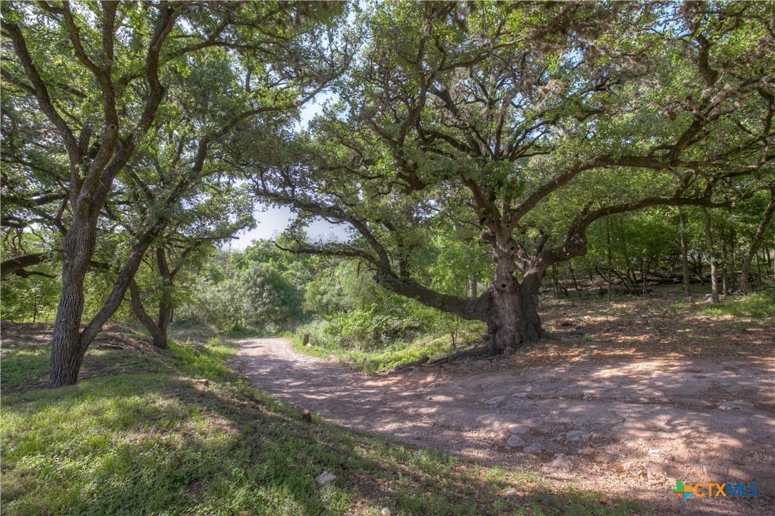 0.95 acres in Comal County - photo 2