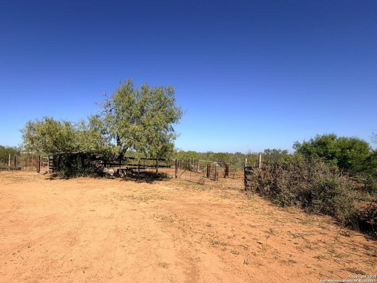 72 acres in Atascosa County - photo 16